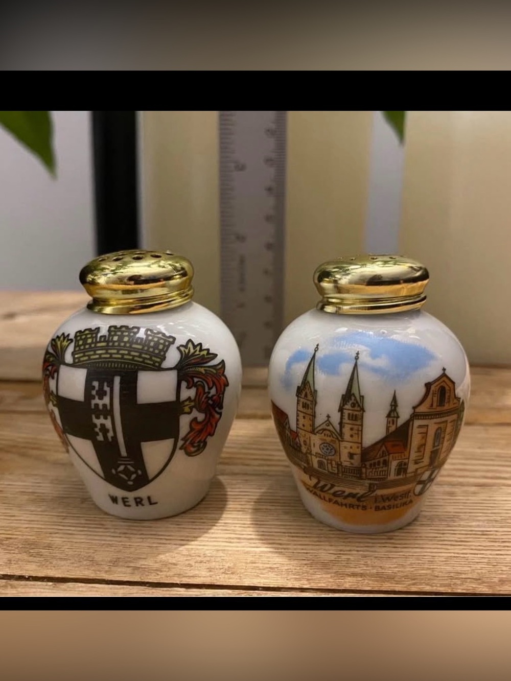 Vintage Bareuther Waldsassen Bavaria Werl Salt & Pepper Shakers Set Gold Caps